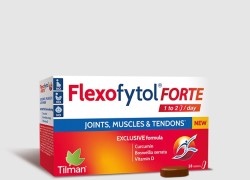 Flexofytol Forte 28 Comprimidos